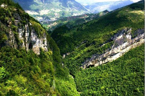 重庆奉节县爆料新闻,揭秘事件背后真相 第1张 重庆奉节县爆料新闻,揭秘事件背后真相 第1张